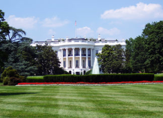 How many US Public Debts out there? Who own them?