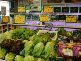 How often companies in Eurozone change their prices?