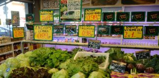 How often companies in Eurozone change their prices?