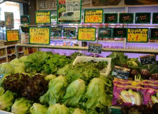 How often companies in Eurozone change their prices?