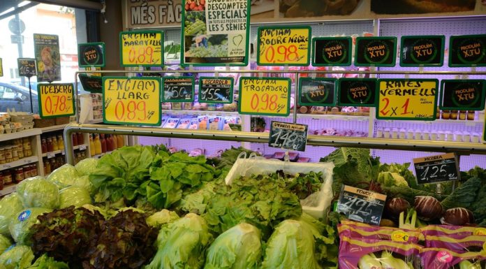 How often companies in Eurozone change their prices?