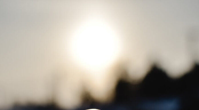 Economic benefit of asset market bubble