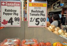 Bank of Canada continues to hold rate at 5% as underlying inflation still shows persistence