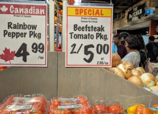 Bank of Canada continues to hold rate at 5% as underlying inflation still shows persistence