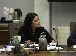 Dallas Fed’s Logan cites neutral rate uncertainty as reason to ‘proceed cautiously’ on rate cut