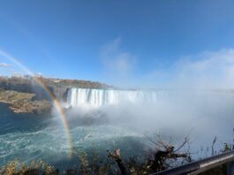 Canada Labor Market Watch