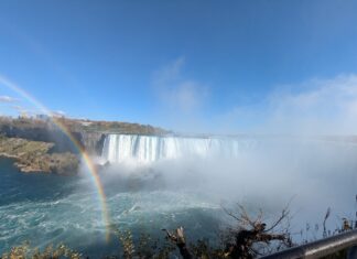Canada Labor Market Watch